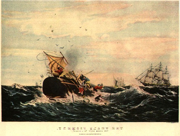 Chasse au cachalot au XIXe siècle, estampe de Currier & Ives. Domaine public, via Wikimedia Commons. Ce n'est pas une représentation du naufrage de l'Essex.