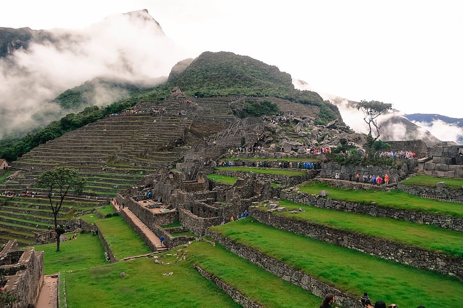 Machu Picchu Peru Landscape Green