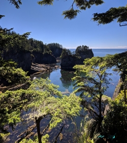 px Cape Flattery south pano