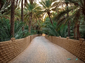 Al Ain Oasis