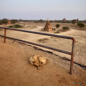 Bagan