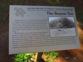 Banyan Tree Square