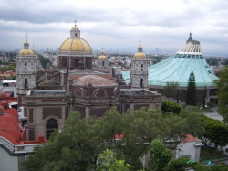 Basilica of Our Lady of Guadalupe