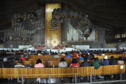 Basilica of Our Lady of Guadalupe