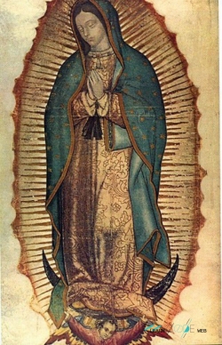 Basilica of Our Lady of Guadalupe