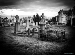 Cemetery of Loyasse