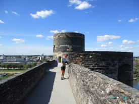 Chateau d Angers tower