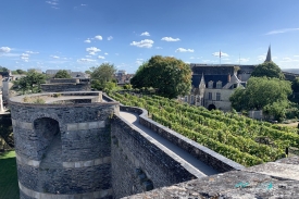 Chateau d Angers towers