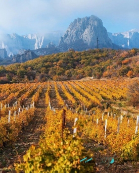 Crimean wine country views ukraine