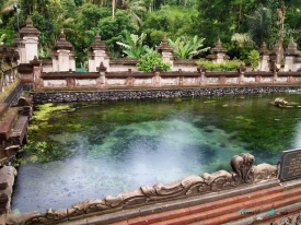 Freshwater Spring at Tirta Empul Temple