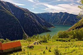 Hardangerfjord