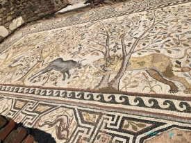 Heraclea Lyncestis Mosaics in Bitola Macedonia
