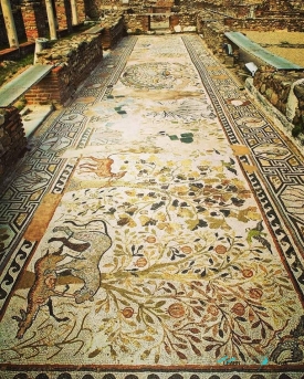 Heraclea Lyncestis Mosaics in Bitola Macedonia