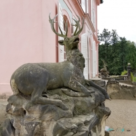 Little Pheasant Castle Moritzburg