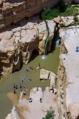 MicheleCrosta Tamerza Oasis