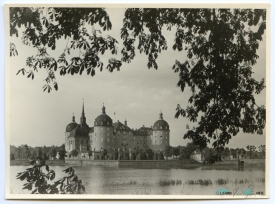 Moritzburg Castle old imagen