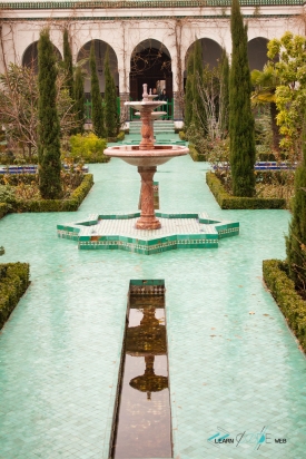 Paris Mosque gardens