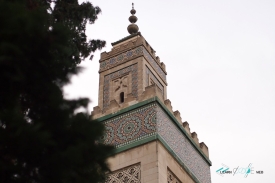 Paris Mosque miranete