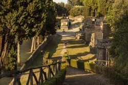 Pompeii road