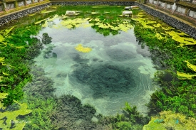 Pura Tirta Empul water