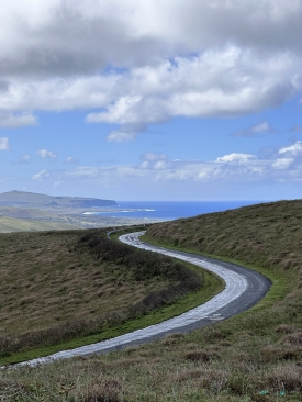 Rapa Nui National Park road.jpeg