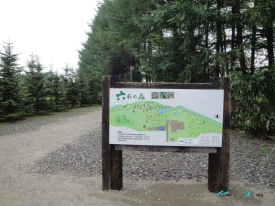 Rokka Forest