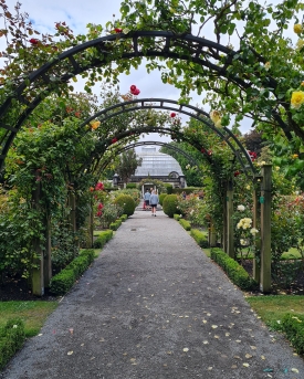 Rose Garden Hagley Park