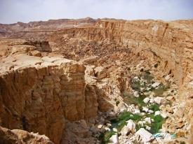 Tamerza Oasis