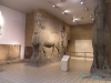 The British Museum Human Headed Winged Bulls