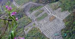 choquequirao