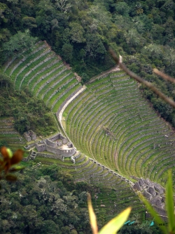 intipata terrazas