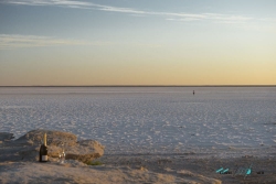 kati thanda lake eyre