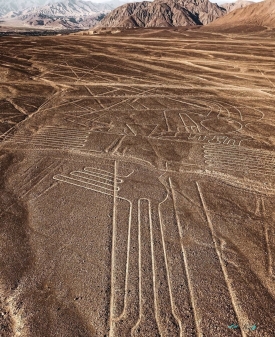 nazca lines