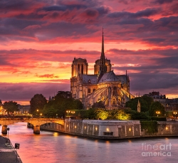 notre dame cathedral at sunset paris