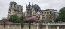 notre dame paris