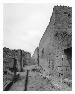 pompeii wall