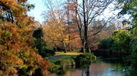 quitley flows the avon christchurch