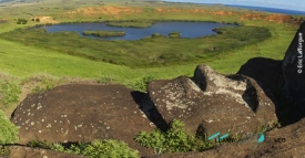 rapanu moai back