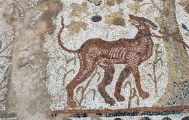 red chequerboard dog from Heraclea Lyncestis
