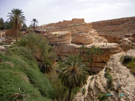 the Tamaghza canyon 