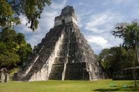 tikal maya pyramid