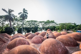 top of the Sixty Dome Mosque in Bagerhat